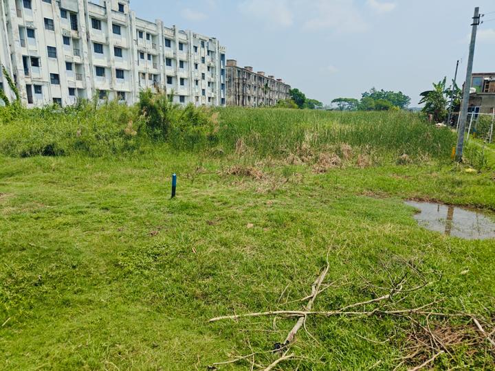 Natagachi Main Image 1