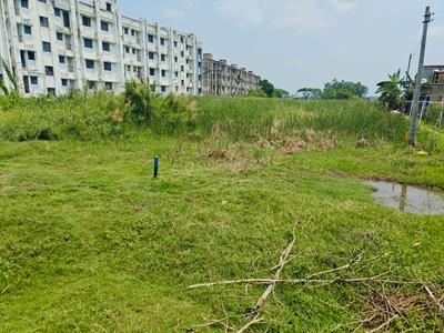Natagachi Plot View 1