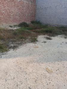 Dhillon Nagar Plot View 1