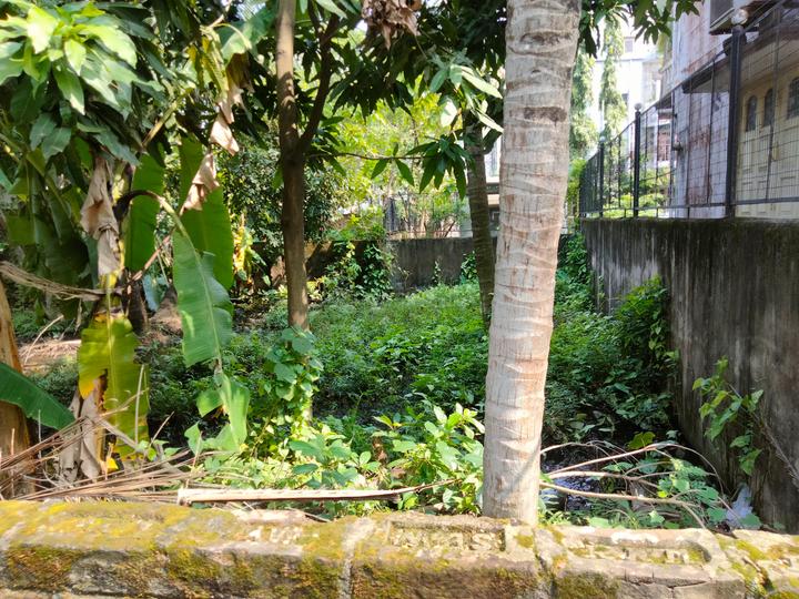 Gopalpur Gram, Rajarhat Main Image 1