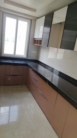 RR PAllACIA Main Image 1