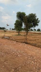 Residential Plot