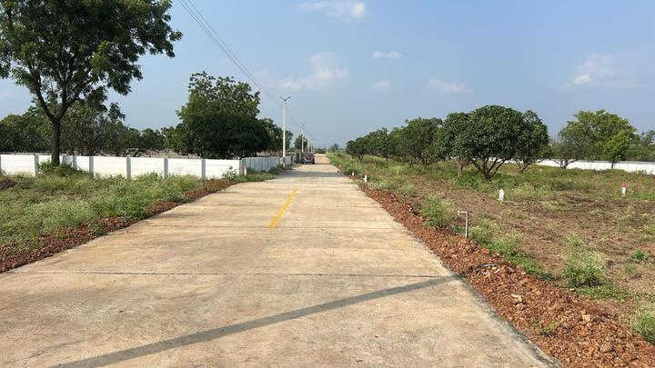 Uruli Kanchan Main Image 1