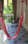Regency Chateau More Images 3