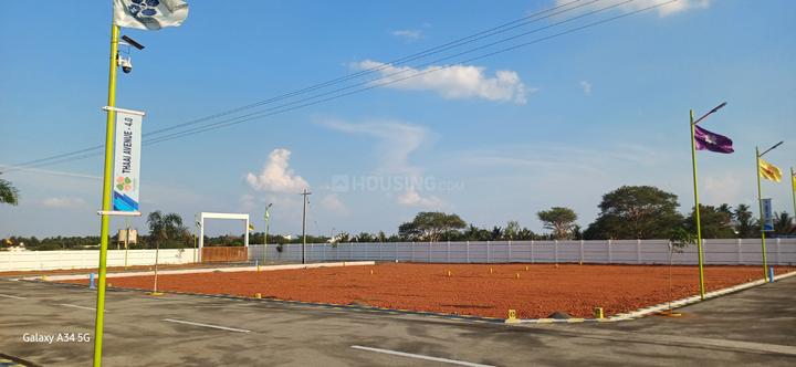 Palladam Main Image 1