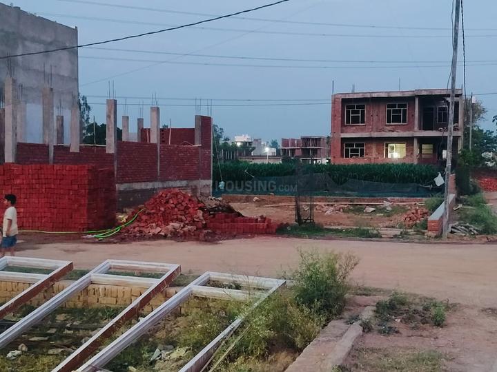 Anora Kala Main Image 1