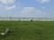 Oragadam Industrial Corridor Main Image 1