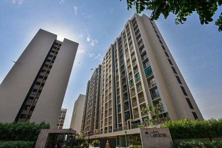 Swati Gardenia Makarba Main Image 1