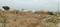 Jagatpura Main Image 1