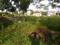 Bluejay Ardley Plot View 2