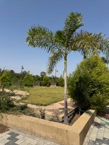Image of 1200 Sq.ft Residential Plot / Land for sale in Hans Greens, Bulandshahr, Indore for Rs. 9100000