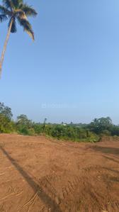 Image of 2200 Sq.ft Residential Plot / Land for sale in Irinjalakuda, Thrissur for Rs. 300000