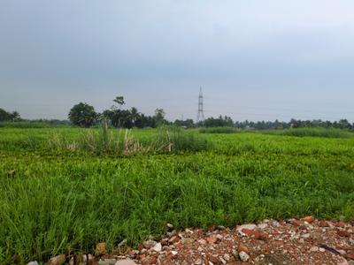 Nest Valley Plot View 2