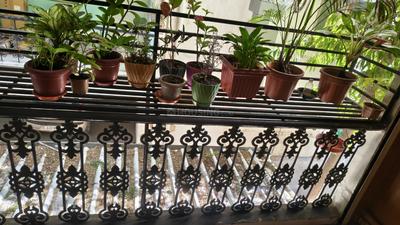 Balcony Image of 1250 Sq.ft 2 BHK Apartment / Flat for sale in Bodakdev Ahmedabad for Rs. 7500000