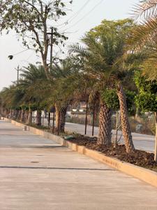 Image of 1000 Sq.ft Residential Plot / Land for sale in Bijaur, Bilaspur for Rs. 2000000