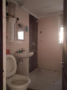 Common Bathroom Image of 1325 Sq.ft 3 BHK Apartment / Flat for sale in Amrapali Zodiac, Sector 120 Noida for Rs. 11800000