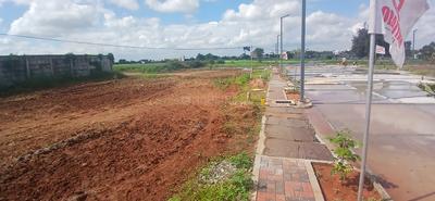 Residential Plot