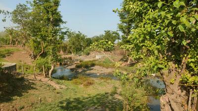 Image of 6000 Sq.ft Residential Plot / Land for sale in Gajinda, Indore for Rs. 2500000