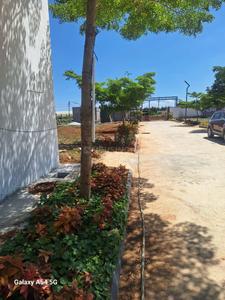 Residential Plot