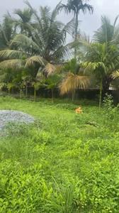 Residential Plot