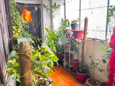 Balcony Image of 1713 Sq.ft 3 BHK Apartment / Flat for sale in RK Park Ultima, Jankipuram Extension Lucknow for Rs. 9000000