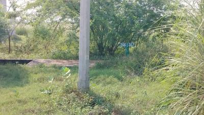 Image of 239 Sq.ft Residential Plot / Land for sale in Sector 25 YEIDA, Greater Noida for Rs. 17900000