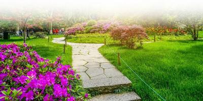 Image of 115 Sq.ft Residential Plot / Land for sale in Mapsko Aspr Hills, Sector 78, Gurgaon for Rs. 28200000