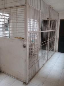 Balcony Image of 600 Sq.ft 1 BHK Apartment / Flat for rent in Kohinoor Glory, Mohammed Wadi Pune for Rs. 21000