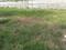 DLF City Phase 1 Main Image 1