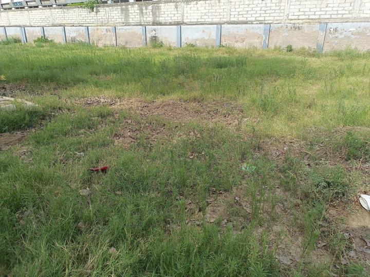 DLF City Phase 1 Main Image 1