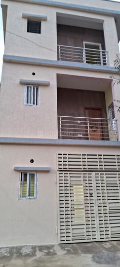 Green pradies  More Images 1