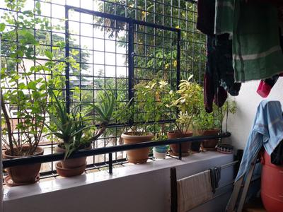 Living Room Image of 1120 Sq.ft 2 BHK Apartment / Flat for sale in Sri bhagwan arcade, RMV Extension Stage 2 Bengaluru for Rs. 12500000