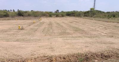 Image of 1264 Sq.ft Residential Plot / Land for sale in Arakkonam, Ranipet for Rs. 821600