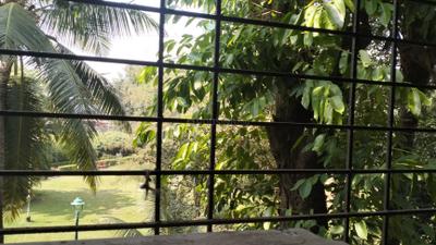 Balcony Image of 950 Sq.ft 2 BHK Apartment / Flat for sale in Nerul Navi Mumbai for Rs. 14600000