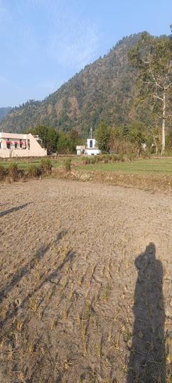 Soda saroli Main Image 1