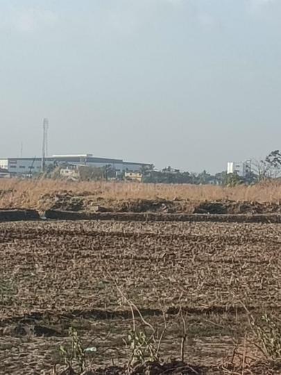 Mahamumbai Plots In Sarde Main Image 1