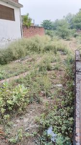Shri Hari nagar colony kalli pashim Plot View 1