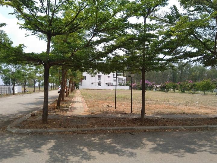 Ozone KNS Oasis Main Image 1