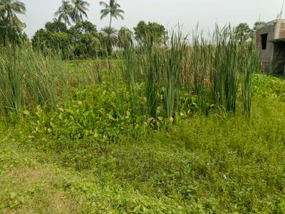 Image of 3600 Sq.ft Residential Plot / Land for sale in Bipadbhanjan Colony, Kolkata for Rs. 4000000