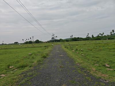 Residential Plot