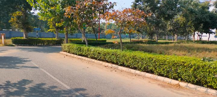 Sector 99 Main Image 1