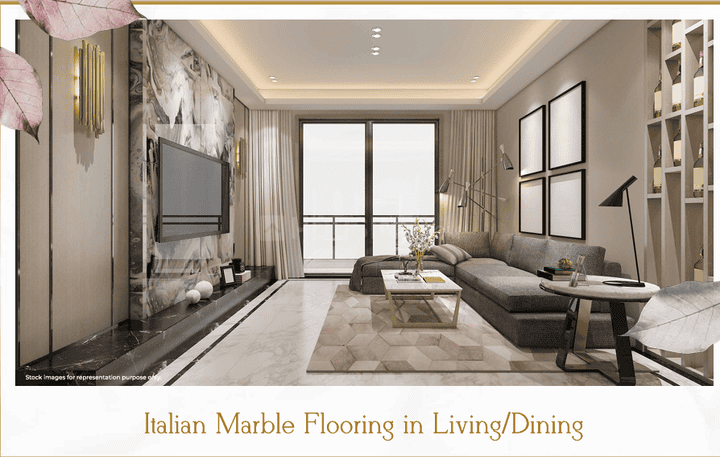 TVS Emerald Luxor Main Image 1