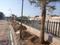 Hathod Main Image 1