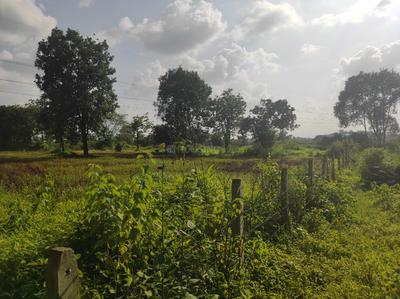 Image of 87120 Sq.ft Residential Plot / Land for sale in Murbad, Thane for Rs. 7600000
