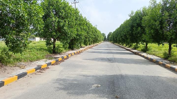 Kompally villa plots for sale Main Image 1