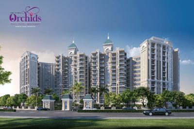 Image of 725 Sq.ft 1 BHK Apartment / Flat for sale in Om Shri Vrinda Orchids, Sunrakh Bangar, Vrindavan for Rs. 5800000