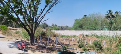 Residential Plot