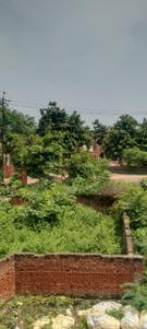 Residential Plot