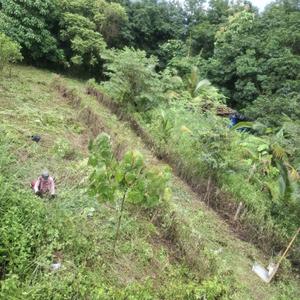 Residential Plot