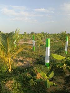 Image of 9600 Sq.ft Residential Plot / Land for sale in Chengalpattu, Chennai for Rs. 2400000